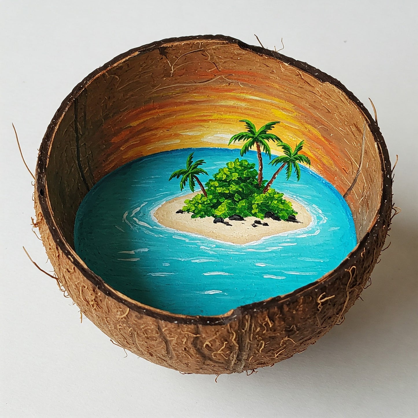 Coconut Paradise Collection of 100