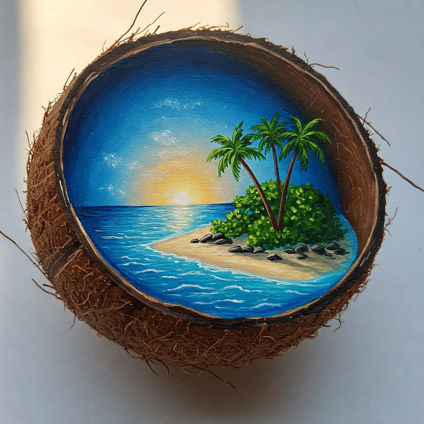 Coconut Paradise Collection of 100