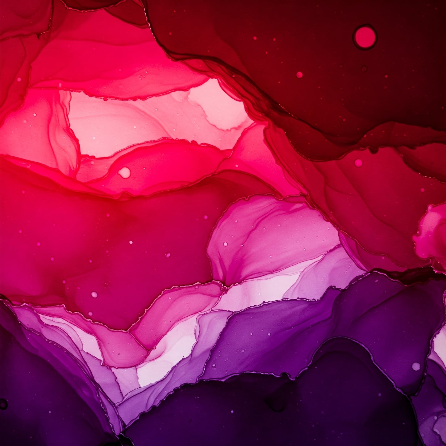 Abstract Collection of 100