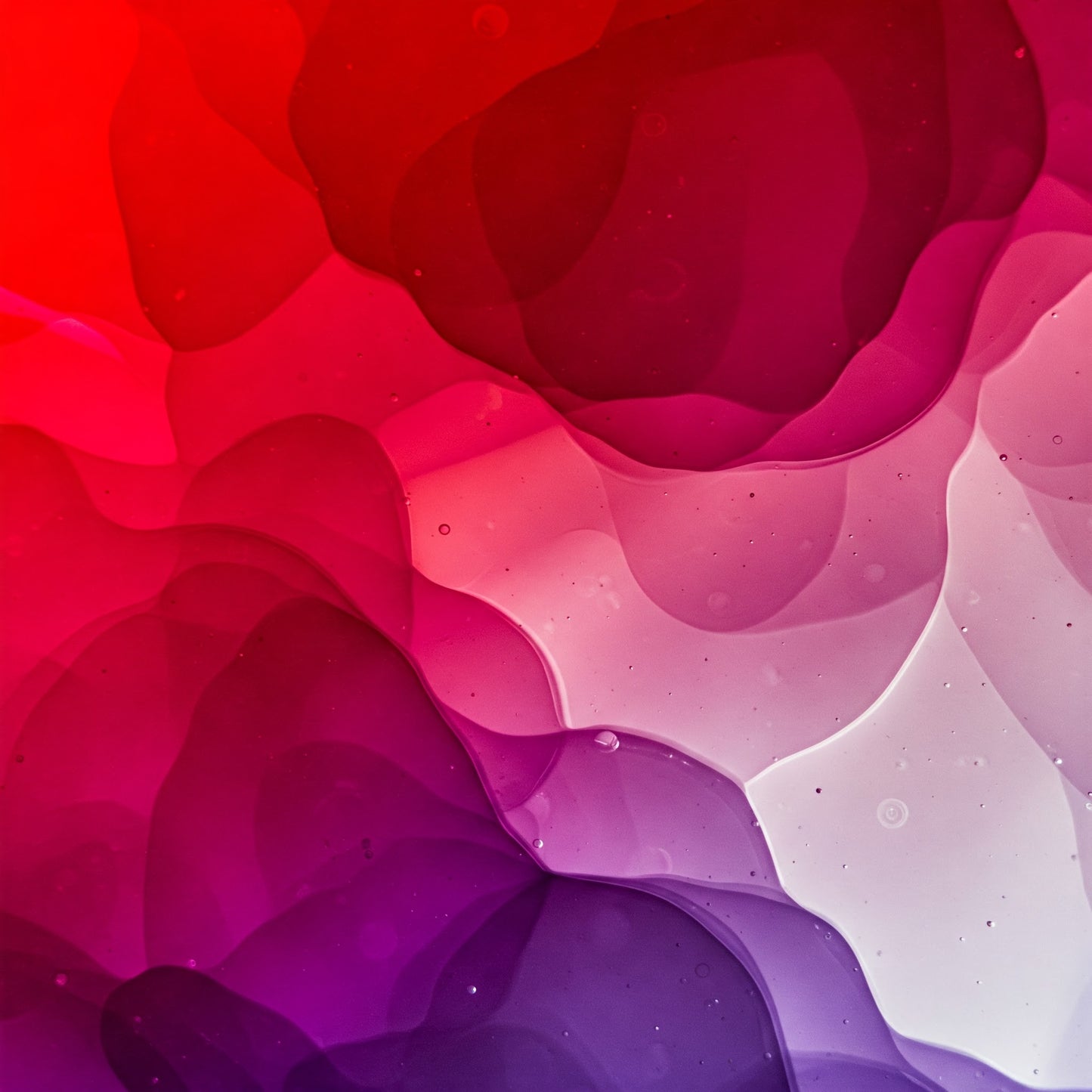 Abstract Collection of 100