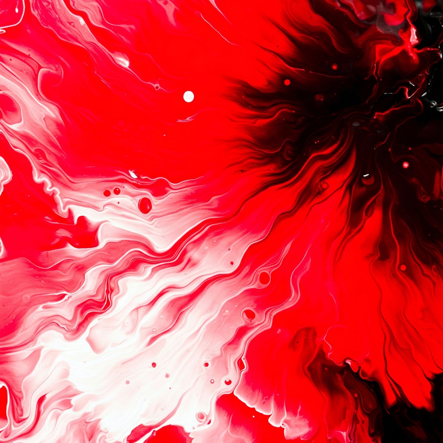 Abstract Collection of 100