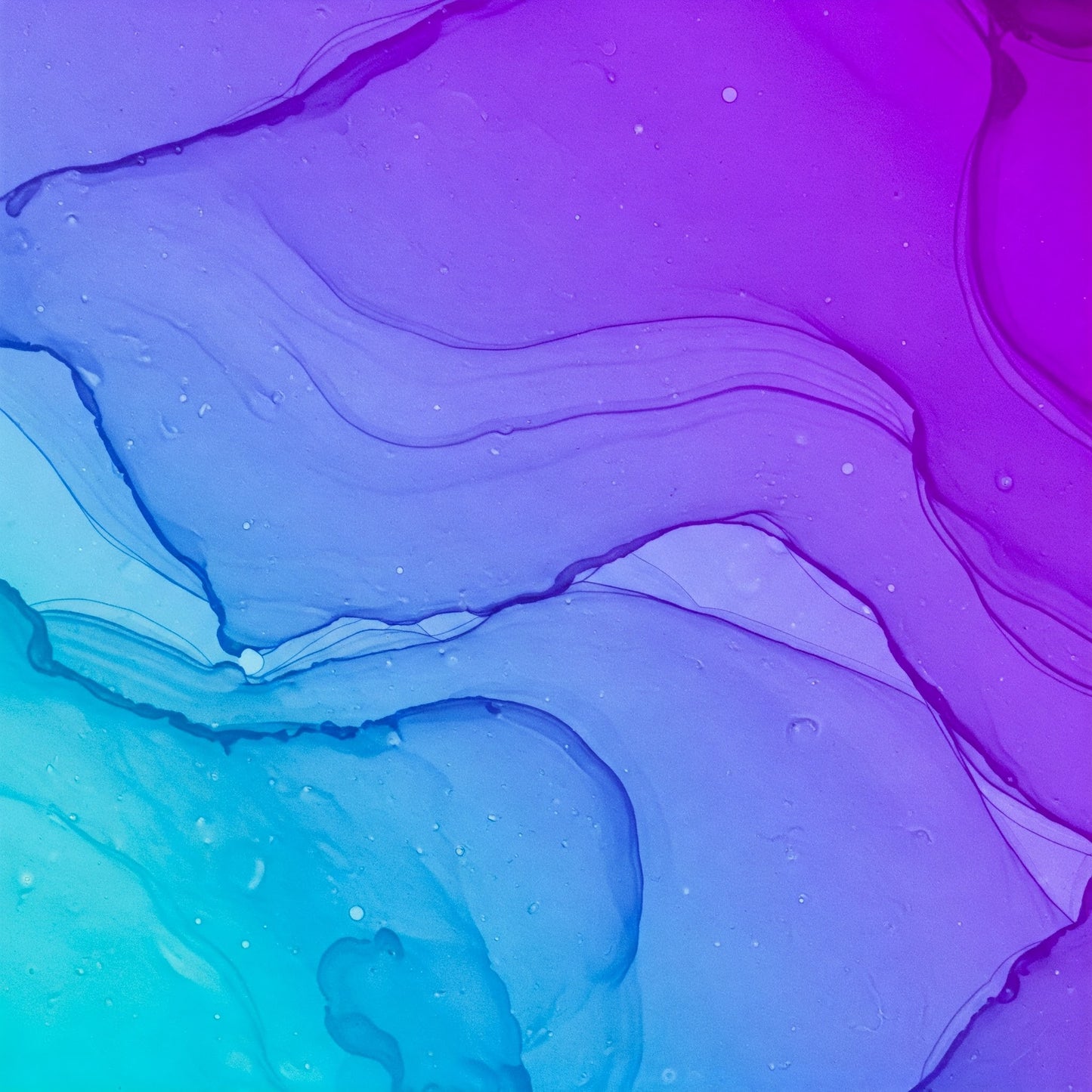Abstract Collection of 100