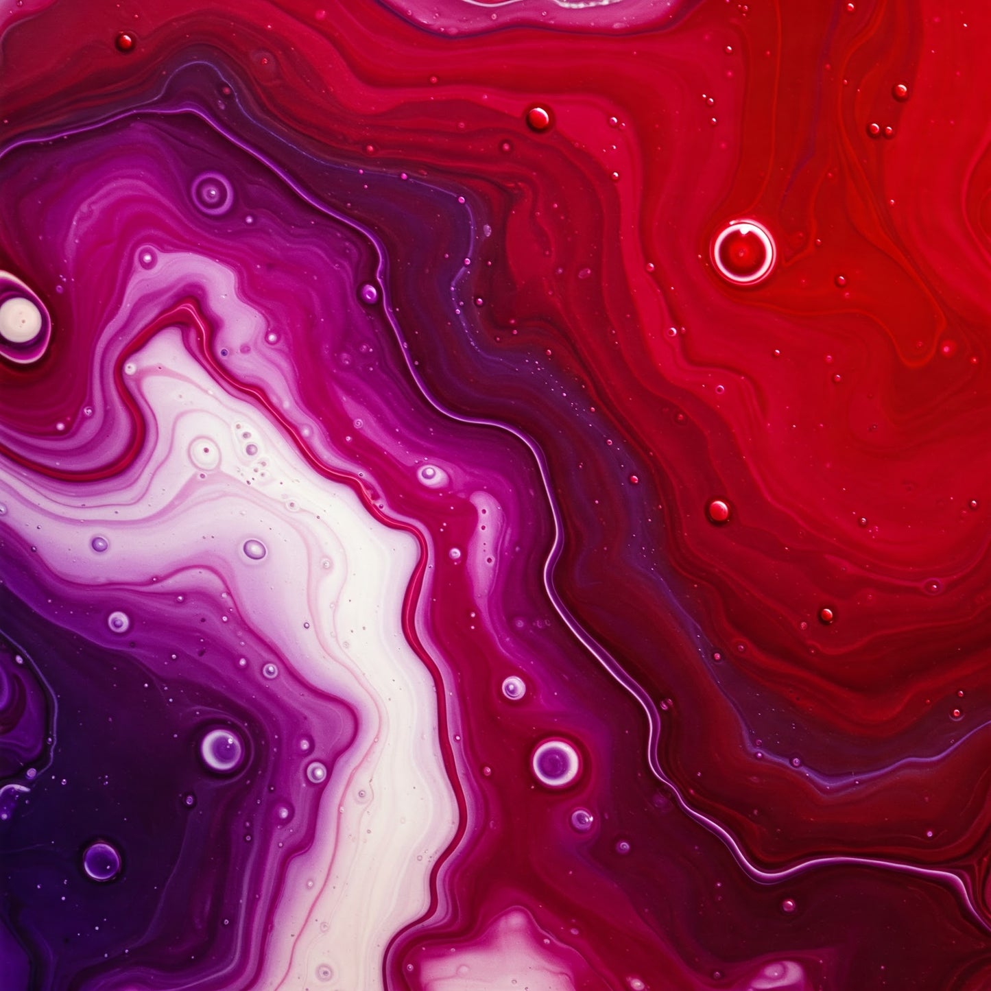 Abstract Collection of 100