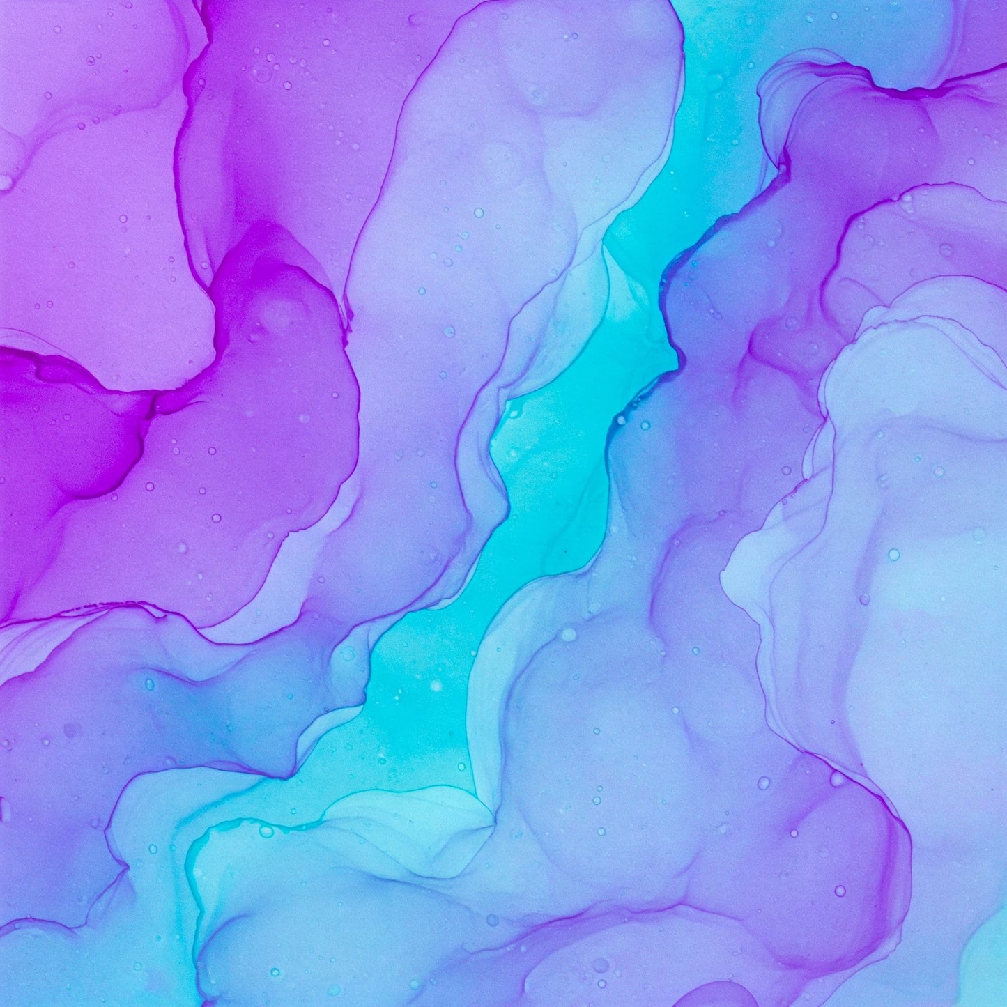 Abstract Collection of 100