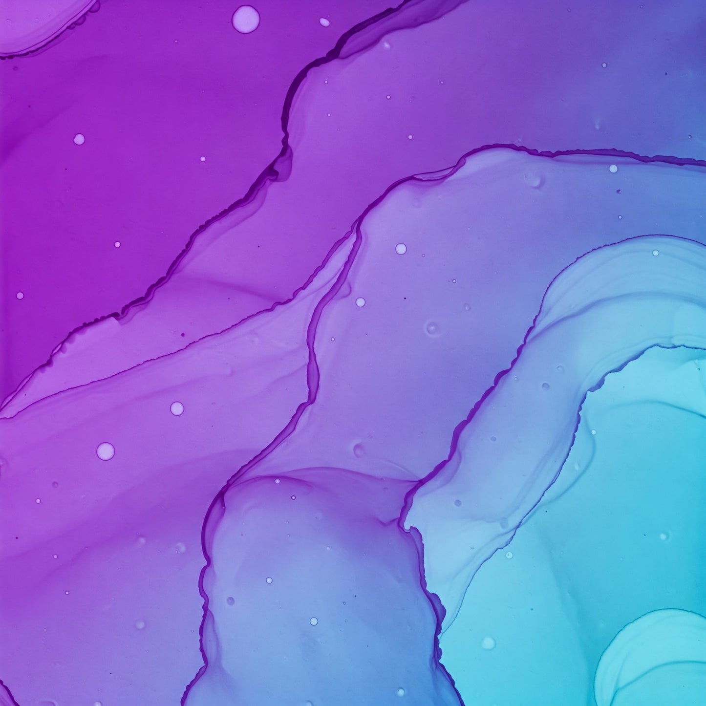 Abstract Collection of 100