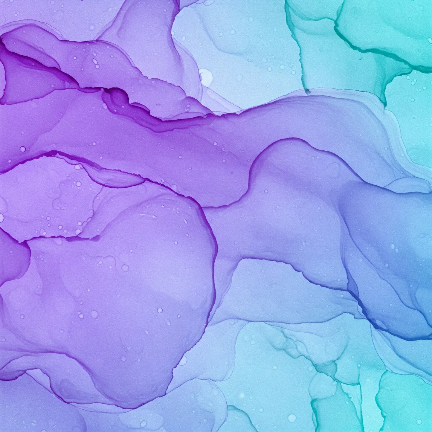 Abstract Collection of 100