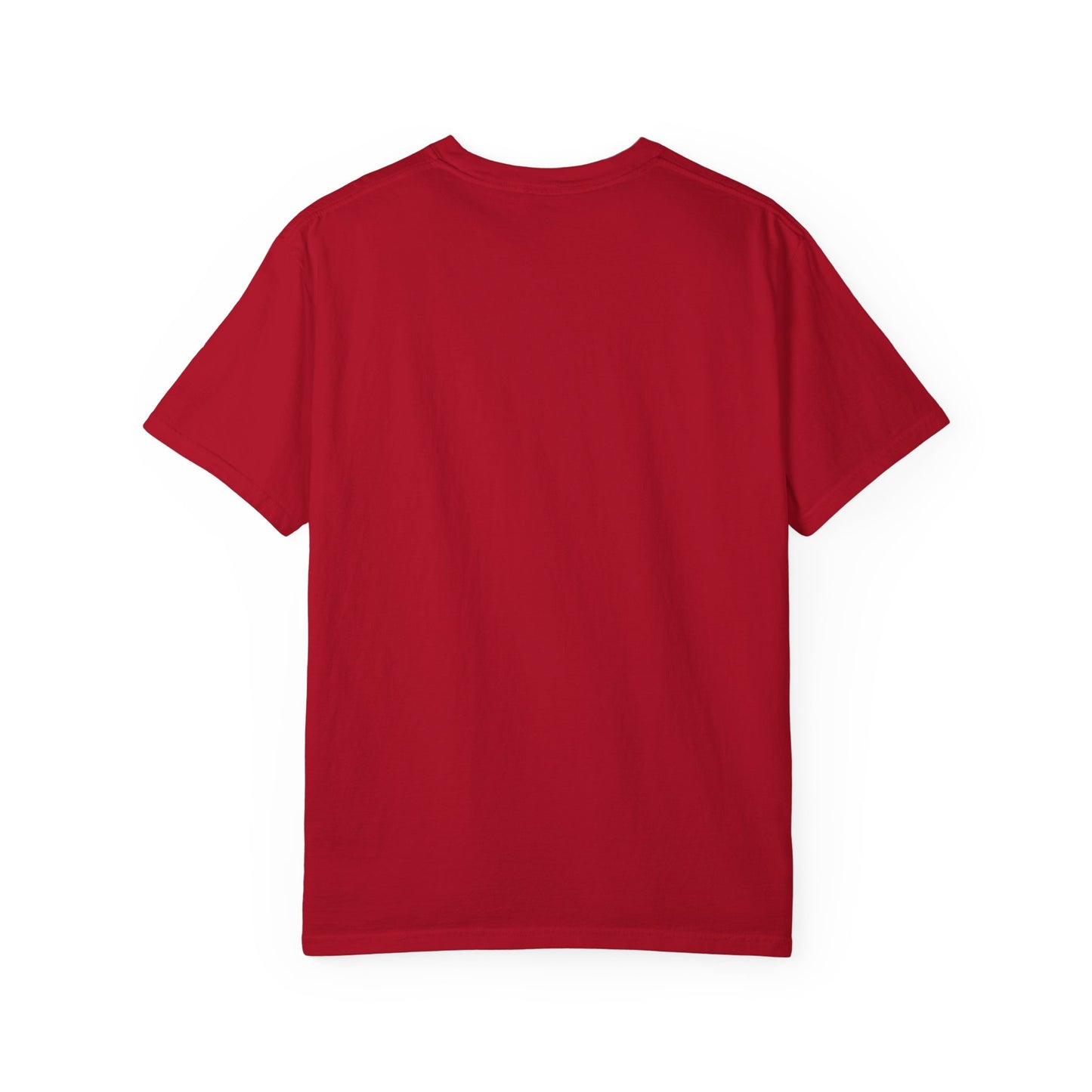 Agent Quacks Series Unisex T-shirt - Kael Design