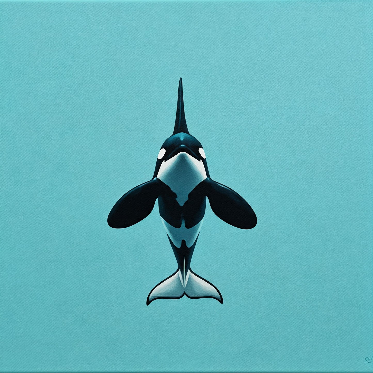 Sea Life Art Collection 37 Image Bundle