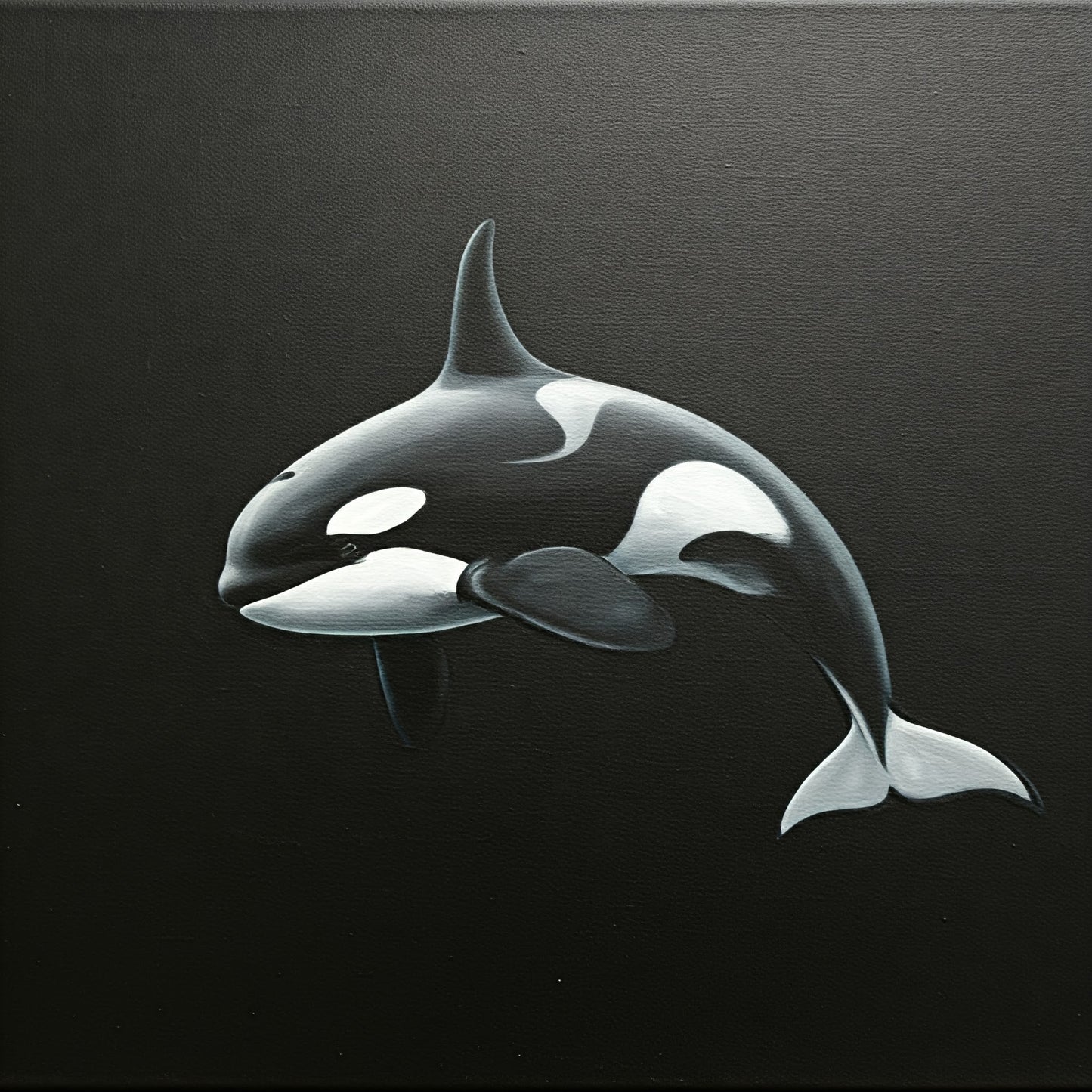 Sea Life Art Collection 37 Image Bundle