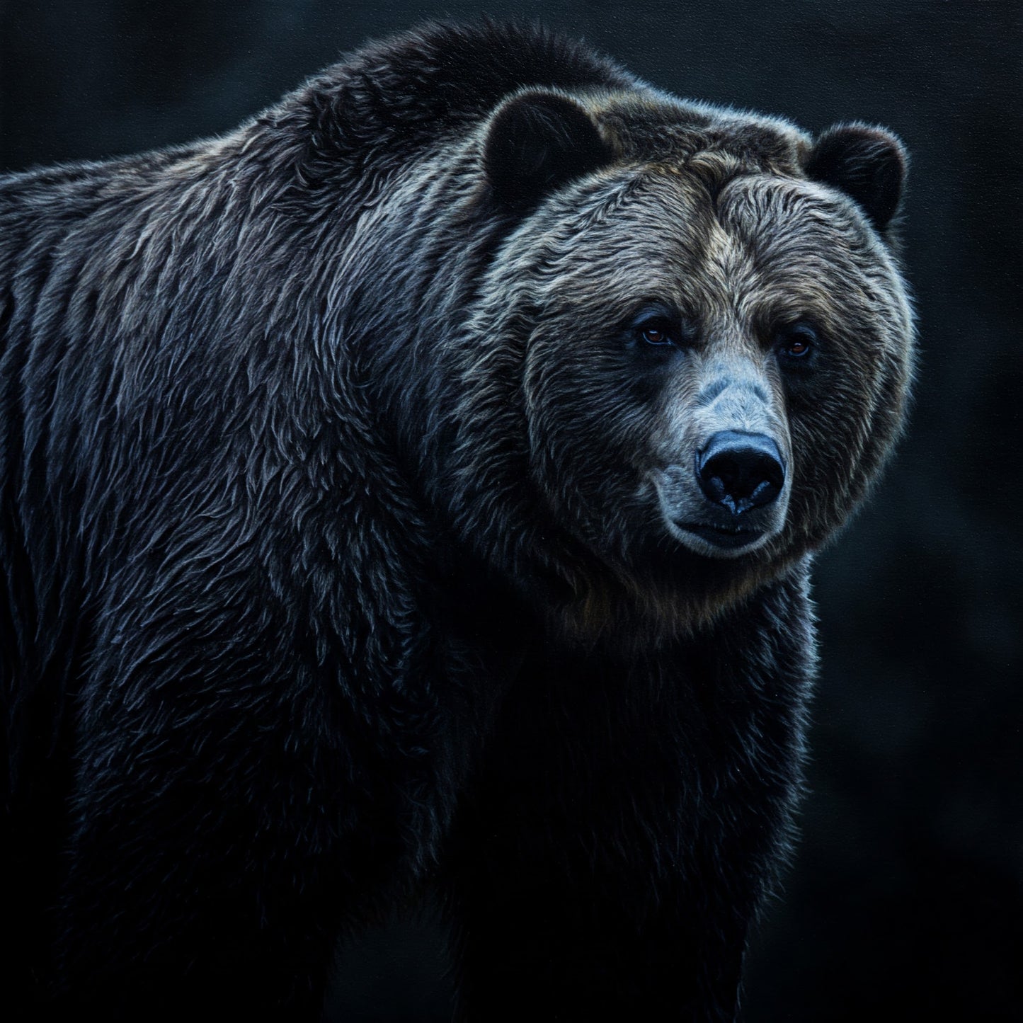 “Bear Appétit!