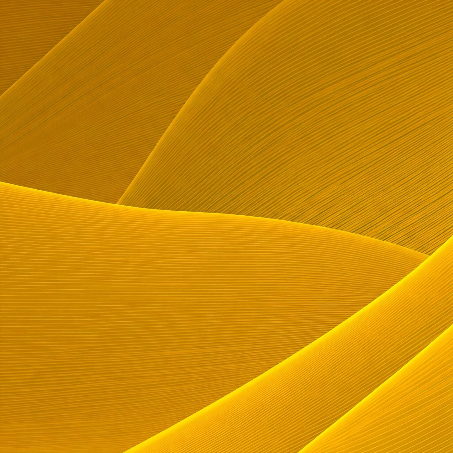 Abstract line Collection of 30
