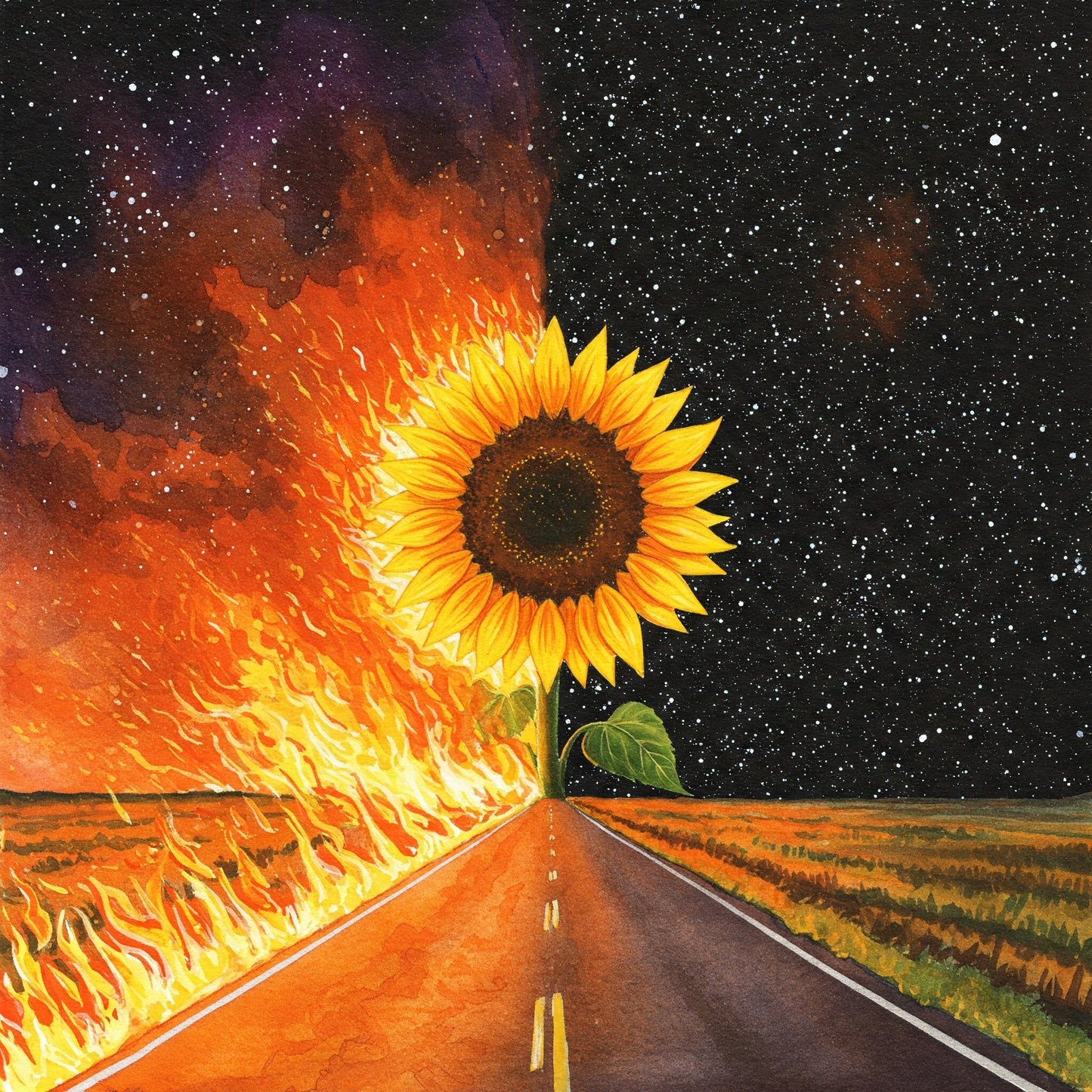 Multidimensional Highway Collection of 100