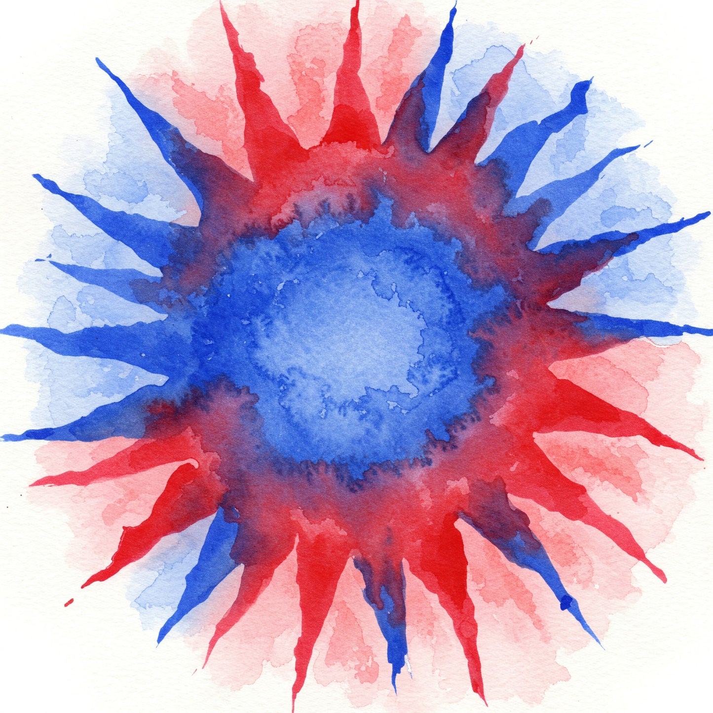 Sun Collection of 49