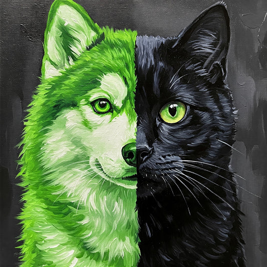 Dog and Cat pack of 10
