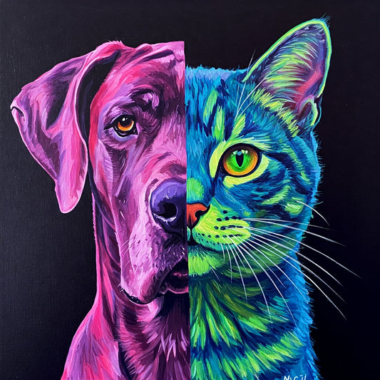 Dog and cat Bundle pack of 27