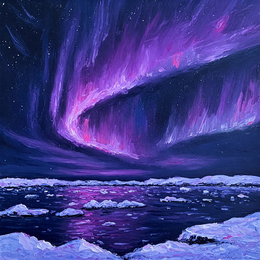 Northern Lights Pack of 14