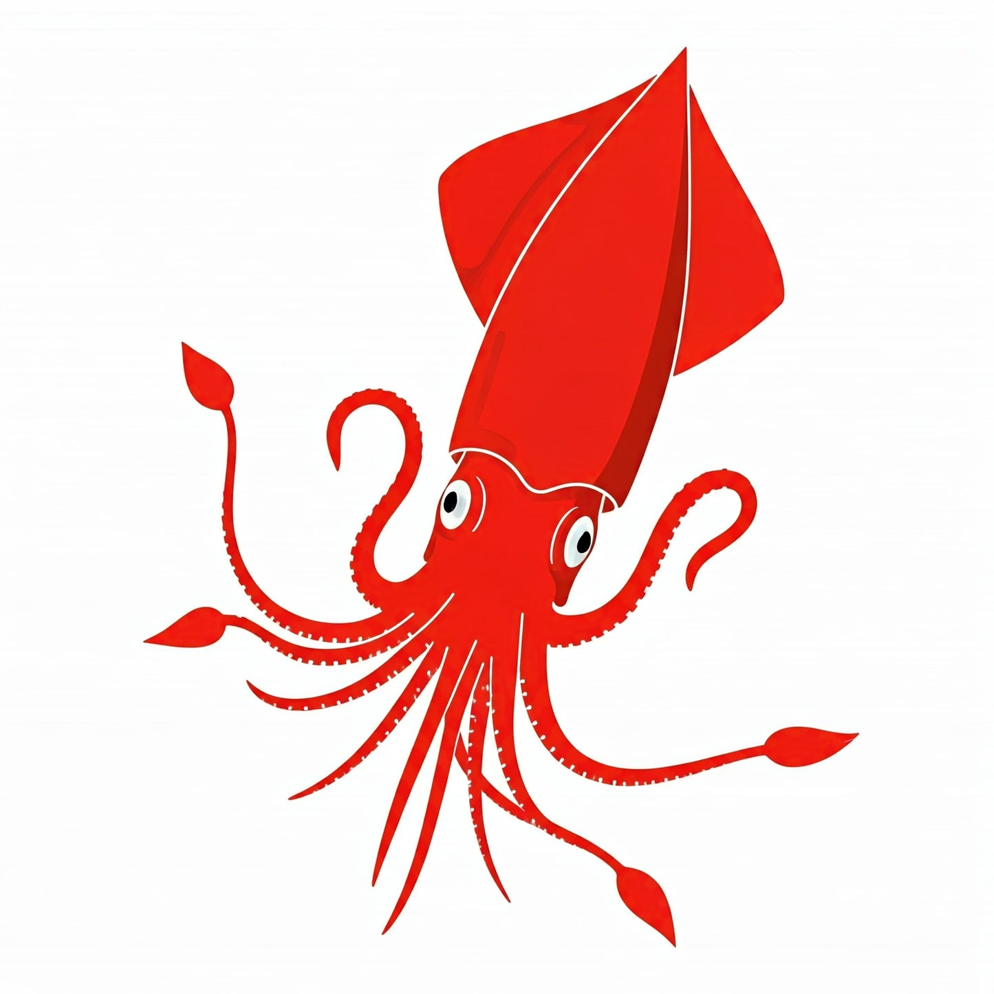 Squid Art Collection 5 Image Bundle