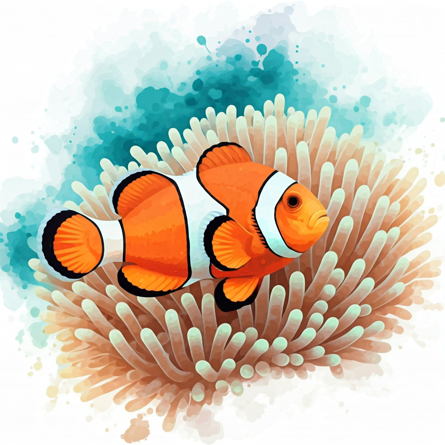 Clownfish Art Collection 16 Image Bundle