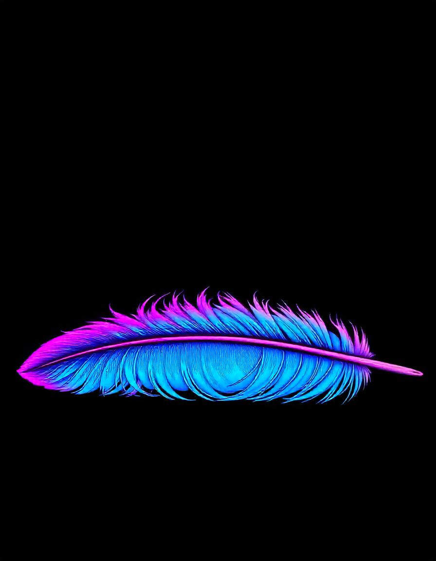 Feather collection of 12