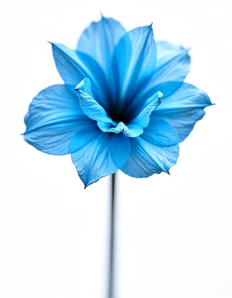 Blue Flower Collection of 11